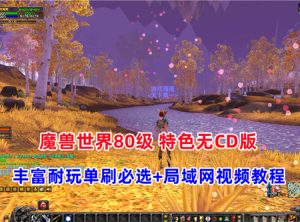 魔兽世界80级特色版 激战无CD魔兽